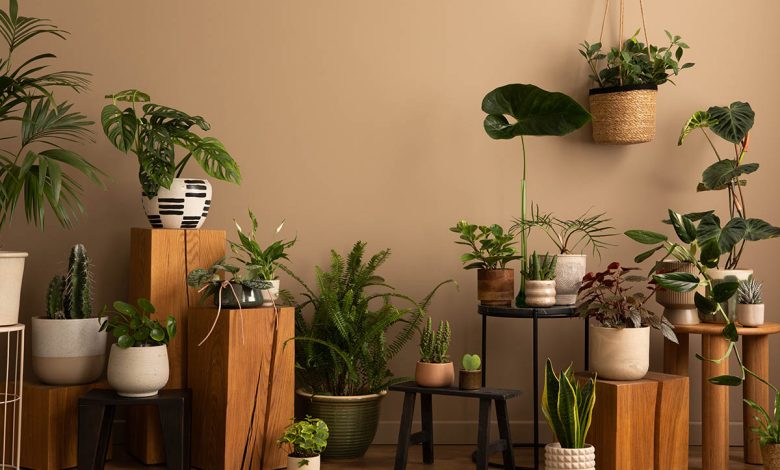 Wooden Plant Stand